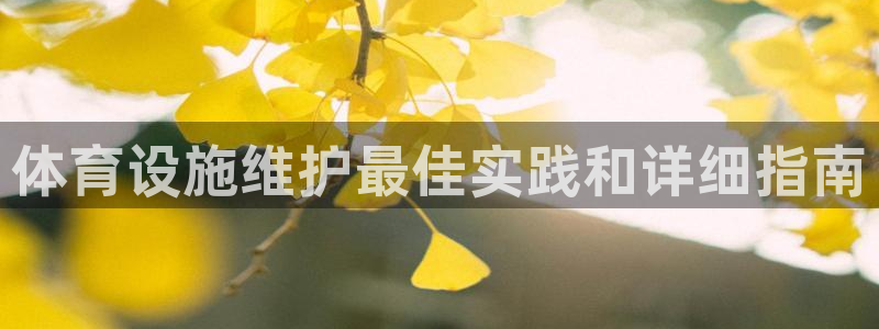 意昂3娱乐平台：体育设施维护最佳实践和详细指南