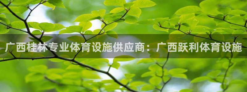 意昂3娱乐下载：广西桂林专业体育设施供应商：广西跃利