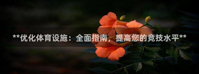 意昂3代理：**优化体育设施：全面指南，提高您的竞技