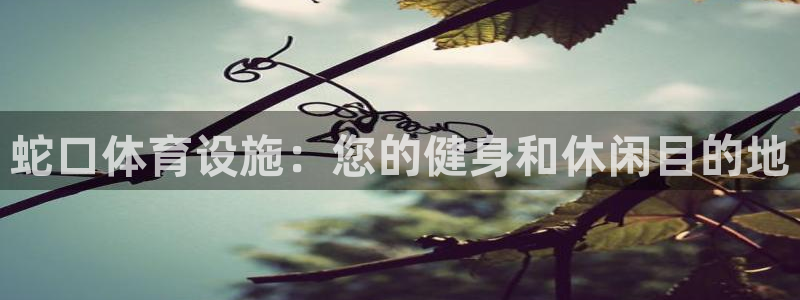 意昂3娱乐平台：蛇口体育设施：您的健身和休闲目的地
