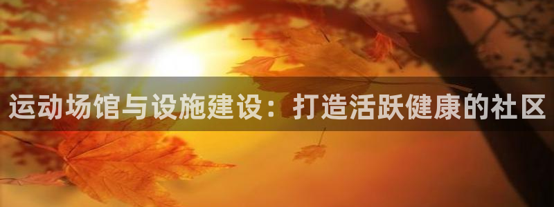 意昂3集团官网首页：运动场馆与设施建设：打造活跃健康