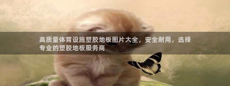 意昂平台体育：高质量体育设施塑胶地板图片大全，安全耐
