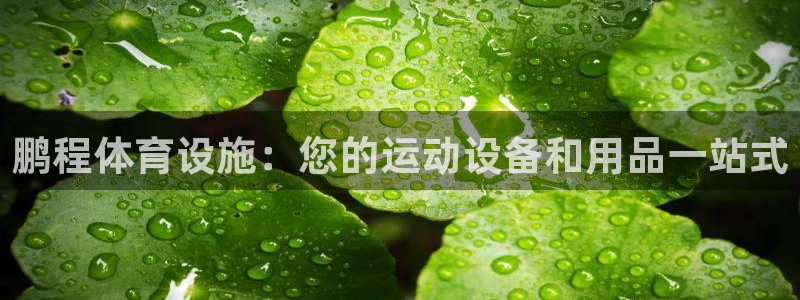 意昂3娱乐是那个系列的台子：鹏程体育设施：您的运动设