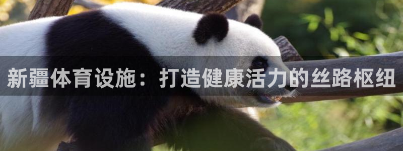 意昂3五金厂：新疆体育设施：打造健康活力的丝路枢纽