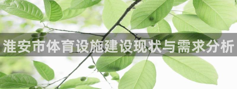 意昂3官网：淮安市体育设施建设现状与需求分析