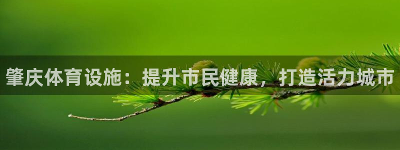意昂体育3平台假的吗是真的吗吗：肇庆体育设施：提升市