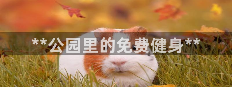 意昂体育3招商电话号码是多少啊：**公园里的免费健身