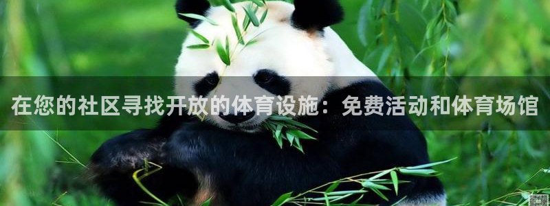 意昂3娱乐：在您的社区寻找开放的体育设施：免费活动和