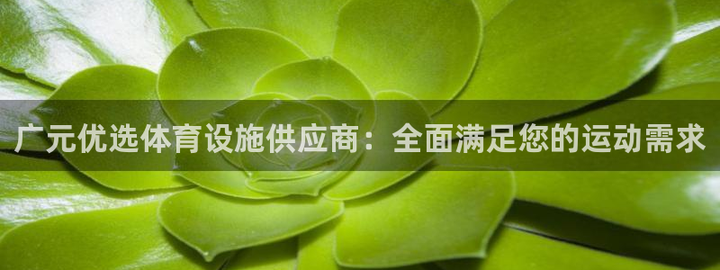 意昂体育3开户：广元优选体育设施供应商：全面满足您的