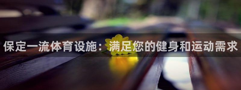 意昂3娱乐：保定一流体育设施：满足您的健身和运动需求