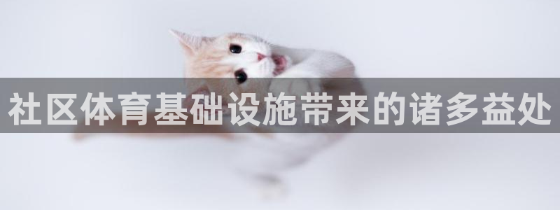 意昂3娱乐网站：社区体育基础设施带来的诸多益处