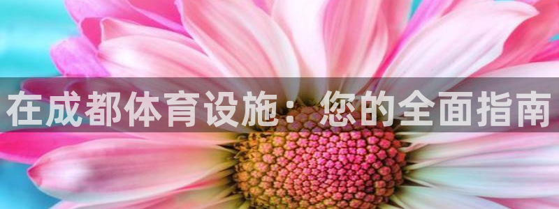 意昂体育3招商电话：在成都体育设施：您的全面指南