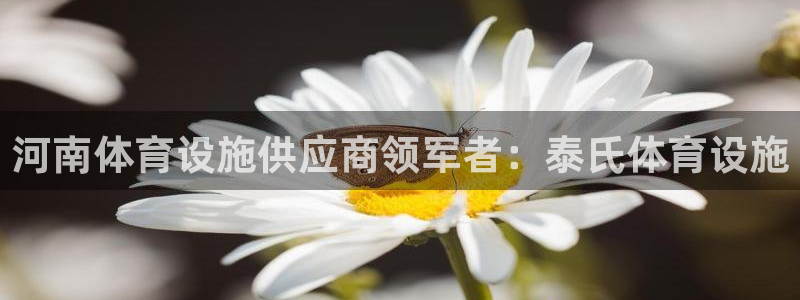 意昂3集团简介：河南体育设施供应商领军者：泰氏体育设