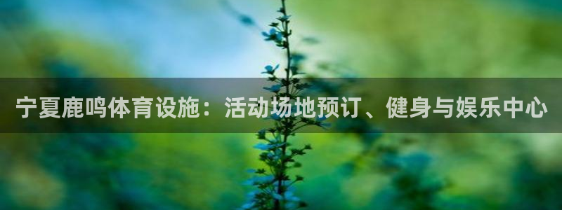 意昂体育3平台注册：宁夏鹿鸣体育设施：活动场地预订、