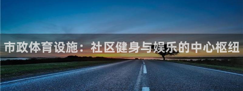 意昂体育3软件：市政体育设施：社区健身与娱乐的中心枢