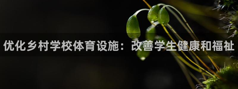 意昂体育3平台APP：优化乡村学校体育设施：改善学生