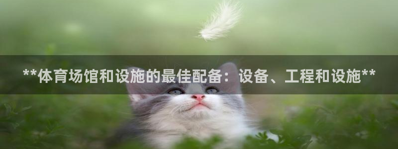 意昂体育3招商电话：**体育场馆和设施的最佳配备：设