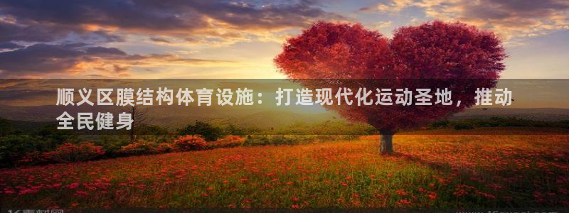 意昂平台体育：顺义区膜结构体育设施：打造现代化运动圣