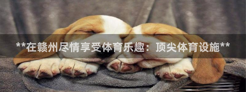 意昂3集团E.ON：**在赣州尽情享受体育乐趣：顶尖