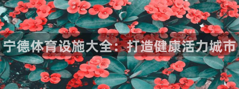 意昂3科技：宁德体育设施大全：打造健康活力城市