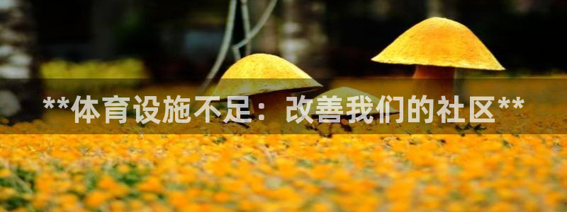 意昂3娱乐下载：**体育设施不足：改善我们的社区**