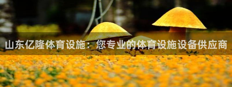 意昂3新能源：山东亿隆体育设施：您专业的体育设施设备