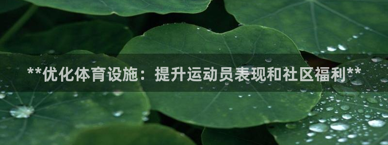 意昂3集团logo：**优化体育设施：提升运动员表现