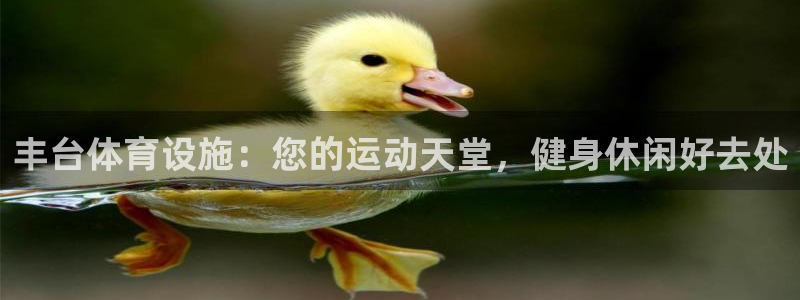 意昂3娱乐代理怎么样：丰台体育设施：您的运动天堂，健