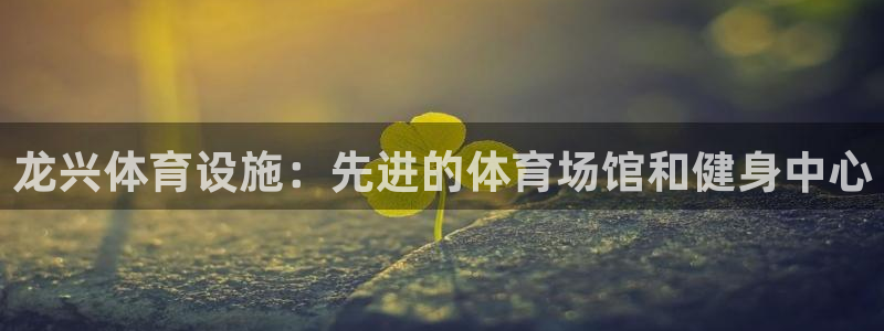意昂体育3平台注册流程图：龙兴体育设施：先进的体育场