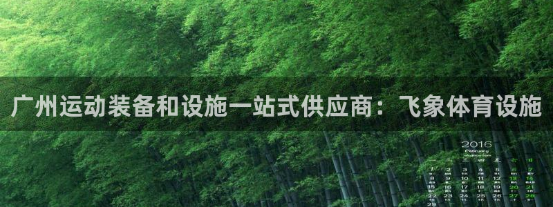 意昂3娱乐平台：广州运动装备和设施一站式供应商：飞象