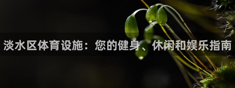 意昂3娱乐是那个系列的台子：淡水区体育设施：您的健身