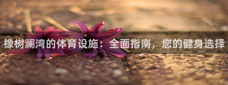 意昂3集团官网网址：橡树澜湾的体育设施：全面指南，您