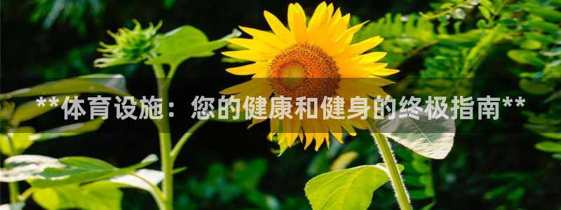 意昂体育3招商电话地址是多少：**体育设施：您的健康