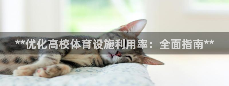 意昂体育3招商电话：**优化高校体育设施利用率：全面