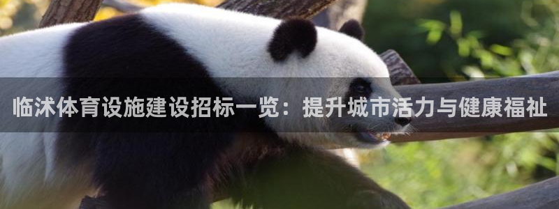 意昂体育3平台注册流程图：临沭体育设施建设招标一览：