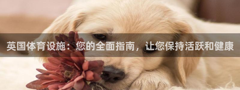 意昂3集团：英国体育设施：您的全面指南，让您保持活跃