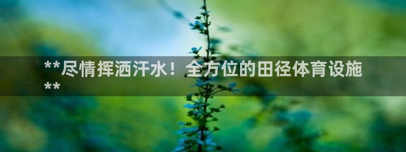 意昂3集团：**尽情挥洒汗水！全方位的田径体育设施
