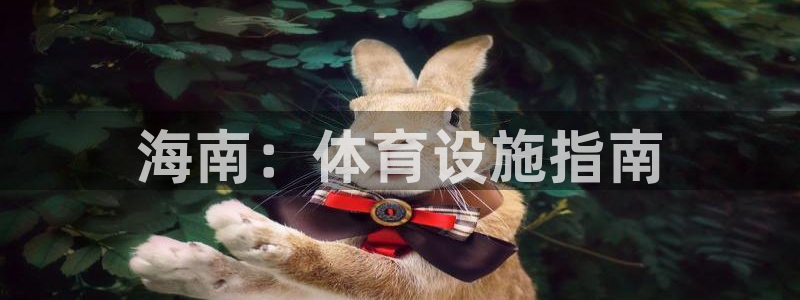 意昂3新能源：海南：体育设施指南