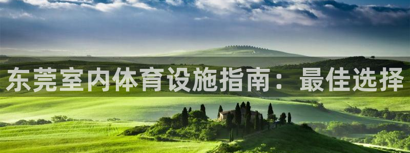 意昂3集团：东莞室内体育设施指南：最佳选择
