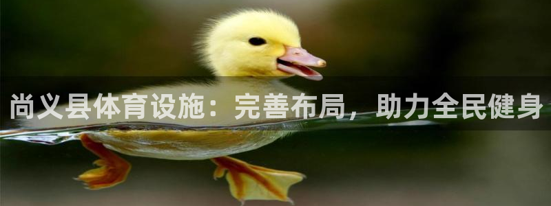 意昂体育3娱乐：尚义县体育设施：完善布局，助力全民健