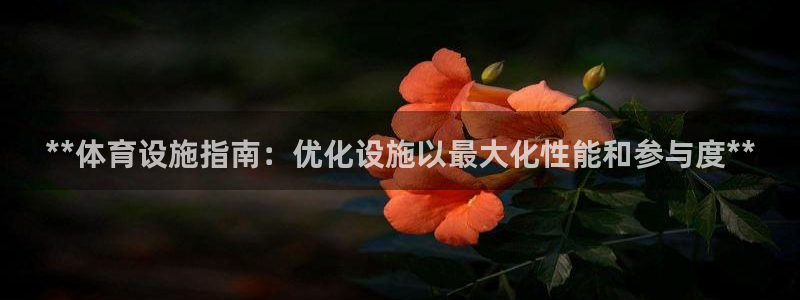 意昂3集团E.ON：**体育设施指南：优化设施以最大