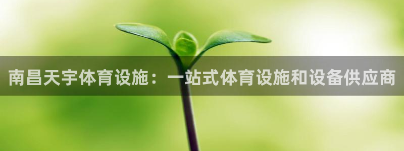意昂3集团E.ON：南昌天宇体育设施：一站式体育设施
