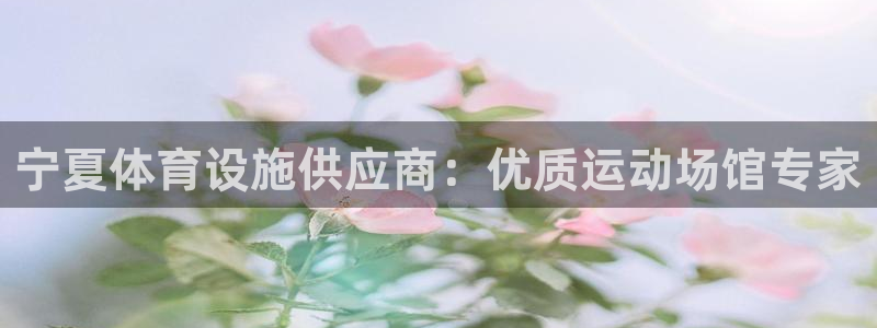 意昂3新能源：宁夏体育设施供应商：优质运动场馆专家