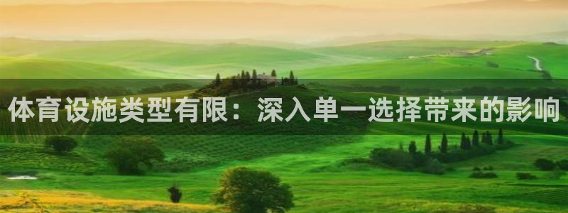 意昂体育3平台：体育设施类型有限：深入单一选择带来的