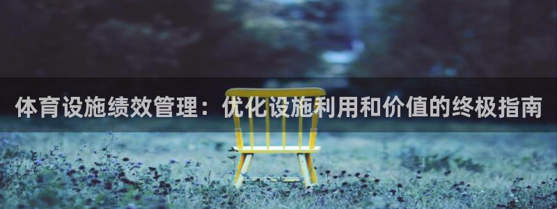 意昂体育3招商电话：体育设施绩效管理：优化设施利用和