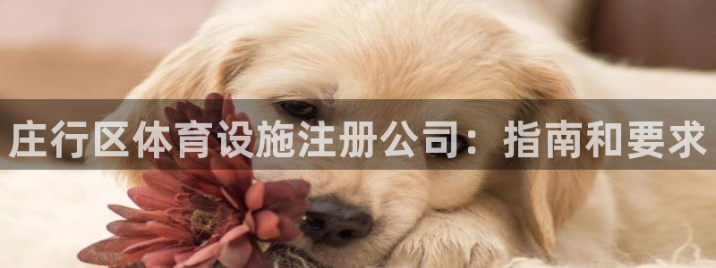 意昂3集团E.ON：庄行区体育设施注册公司：指南和要