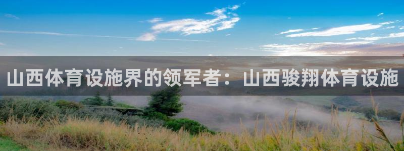 意昂体育3平台假的吗是真的吗吗：山西体育设施界的领军
