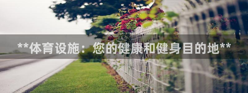 意昂体育3平台是正规平台吗安全吗：**体育设施：您的