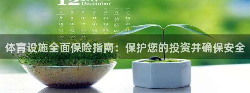 意昂体育3招商电话地址查询：体育设施全面保险指南：保