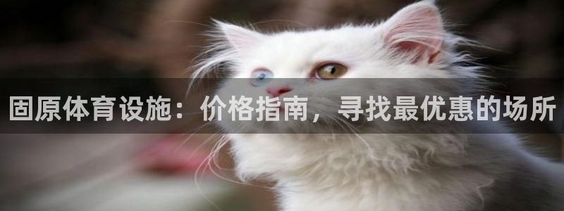 意昂体育3平台注册：固原体育设施：价格指南，寻找最优
